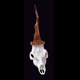 Illustration for article titled This Is As Close To A Real Unicorn As Were Going To Get